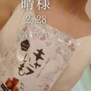 ヒメ日記 2026/03/01 10:03 投稿 ふうか あとりえ(ATELIER)