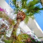 ヒメ日記 2026/03/13 11:45 投稿 ふうか あとりえ(ATELIER)