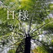 ヒメ日記 2026/03/15 07:31 投稿 ふうか あとりえ(ATELIER)