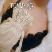 ヒメ日記 2026/03/15 08:01 投稿 ふうか あとりえ(ATELIER)