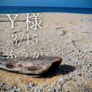 ヒメ日記 2026/03/16 18:02 投稿 ふうか あとりえ(ATELIER)