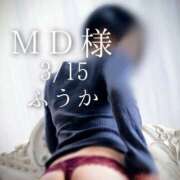 ヒメ日記 2026/03/16 20:02 投稿 ふうか あとりえ(ATELIER)