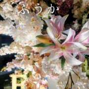 ヒメ日記 2026/03/18 11:30 投稿 ふうか あとりえ(ATELIER)