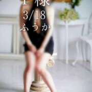 ヒメ日記 2026/03/20 10:31 投稿 ふうか あとりえ(ATELIER)