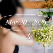 ヒメ日記 2026/03/21 07:30 投稿 ふうか あとりえ(ATELIER)