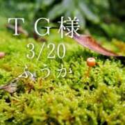 ヒメ日記 2026/03/21 10:30 投稿 ふうか あとりえ(ATELIER)