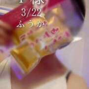 ヒメ日記 2026/03/23 07:00 投稿 ふうか あとりえ(ATELIER)