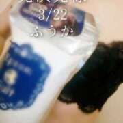 ヒメ日記 2026/03/23 08:00 投稿 ふうか あとりえ(ATELIER)