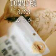 ヒメ日記 2026/03/25 07:31 投稿 ふうか あとりえ(ATELIER)