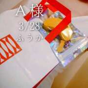 ヒメ日記 2026/03/29 07:30 投稿 ふうか あとりえ(ATELIER)