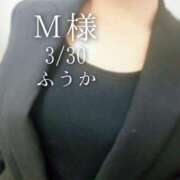 ヒメ日記 2026/03/31 10:30 投稿 ふうか あとりえ(ATELIER)