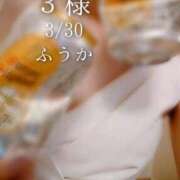 ヒメ日記 2026/03/31 11:01 投稿 ふうか あとりえ(ATELIER)