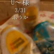 ヒメ日記 2026/04/01 12:31 投稿 ふうか あとりえ(ATELIER)