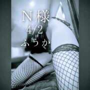 ヒメ日記 2026/04/03 08:30 投稿 ふうか あとりえ(ATELIER)