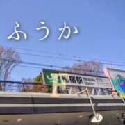 ヒメ日記 2026/04/03 18:31 投稿 ふうか あとりえ(ATELIER)