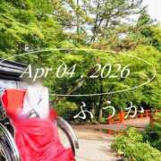 ヒメ日記 2026/04/05 07:31 投稿 ふうか あとりえ(ATELIER)