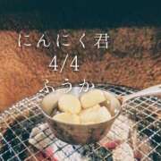 ヒメ日記 2026/04/05 17:30 投稿 ふうか あとりえ(ATELIER)