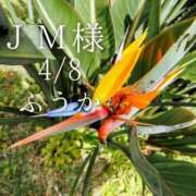 ヒメ日記 2026/04/09 12:15 投稿 ふうか あとりえ(ATELIER)