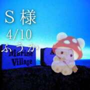 ヒメ日記 2026/04/11 10:05 投稿 ふうか あとりえ(ATELIER)