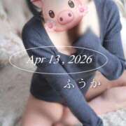 ヒメ日記 2026/04/14 07:30 投稿 ふうか あとりえ(ATELIER)