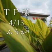 ヒメ日記 2026/04/14 08:30 投稿 ふうか あとりえ(ATELIER)