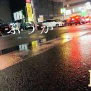 ヒメ日記 2026/04/15 20:30 投稿 ふうか あとりえ(ATELIER)