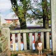 ヒメ日記 2026/04/16 11:30 投稿 ふうか あとりえ(ATELIER)