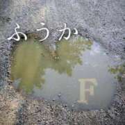 ヒメ日記 2026/04/18 11:46 投稿 ふうか あとりえ(ATELIER)