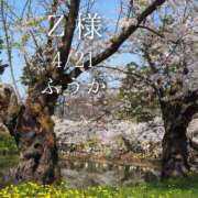 ヒメ日記 2026/04/22 12:31 投稿 ふうか あとりえ(ATELIER)