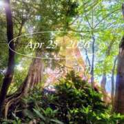 ヒメ日記 2026/04/26 19:31 投稿 ふうか あとりえ(ATELIER)