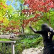 ヒメ日記 2026/04/27 11:30 投稿 ふうか あとりえ(ATELIER)