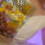 ヒメ日記 2026/04/28 17:30 投稿 ふうか あとりえ(ATELIER)