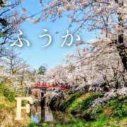 ヒメ日記 2026/04/30 11:30 投稿 ふうか あとりえ(ATELIER)