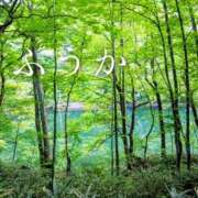 ヒメ日記 2026/05/02 11:39 投稿 ふうか あとりえ(ATELIER)