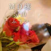 ヒメ日記 2026/05/11 10:02 投稿 ふうか あとりえ(ATELIER)