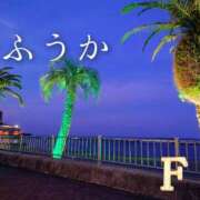 ヒメ日記 2026/05/11 11:30 投稿 ふうか あとりえ(ATELIER)