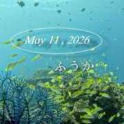 ヒメ日記 2026/05/13 11:45 投稿 ふうか あとりえ(ATELIER)