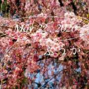 ヒメ日記 2026/05/23 08:15 投稿 ふうか あとりえ(ATELIER)