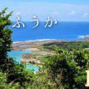 ヒメ日記 2026/05/24 11:30 投稿 ふうか あとりえ(ATELIER)