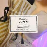 ヒメ日記 2026/05/26 17:02 投稿 ふうか あとりえ(ATELIER)