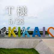 ヒメ日記 2026/05/28 21:10 投稿 ふうか あとりえ(ATELIER)