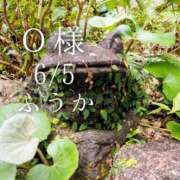 ヒメ日記 2026/06/06 15:02 投稿 ふうか あとりえ(ATELIER)