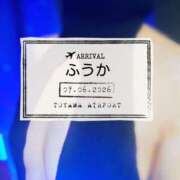 ヒメ日記 2026/06/08 07:30 投稿 ふうか あとりえ(ATELIER)