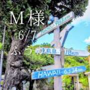 ヒメ日記 2026/06/08 08:30 投稿 ふうか あとりえ(ATELIER)