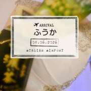 ヒメ日記 2026/06/09 07:30 投稿 ふうか あとりえ(ATELIER)