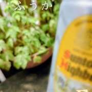 ヒメ日記 2026/06/09 12:33 投稿 ふうか あとりえ(ATELIER)