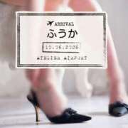 ヒメ日記 2026/06/11 07:30 投稿 ふうか あとりえ(ATELIER)