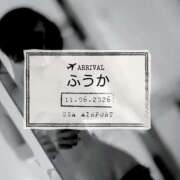 ヒメ日記 2026/06/12 12:16 投稿 ふうか あとりえ(ATELIER)