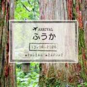 ヒメ日記 2026/06/14 07:30 投稿 ふうか あとりえ(ATELIER)