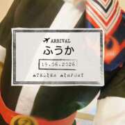ヒメ日記 2026/06/20 07:31 投稿 ふうか あとりえ(ATELIER)